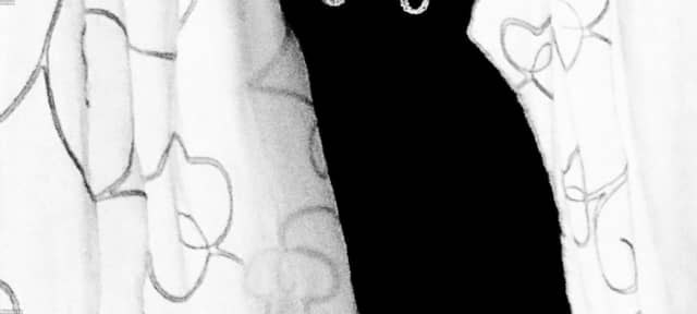 qTxpDVrm